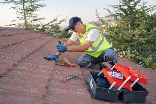 Best Roof Maintenance and Cleaning  in New Lisbon, WI